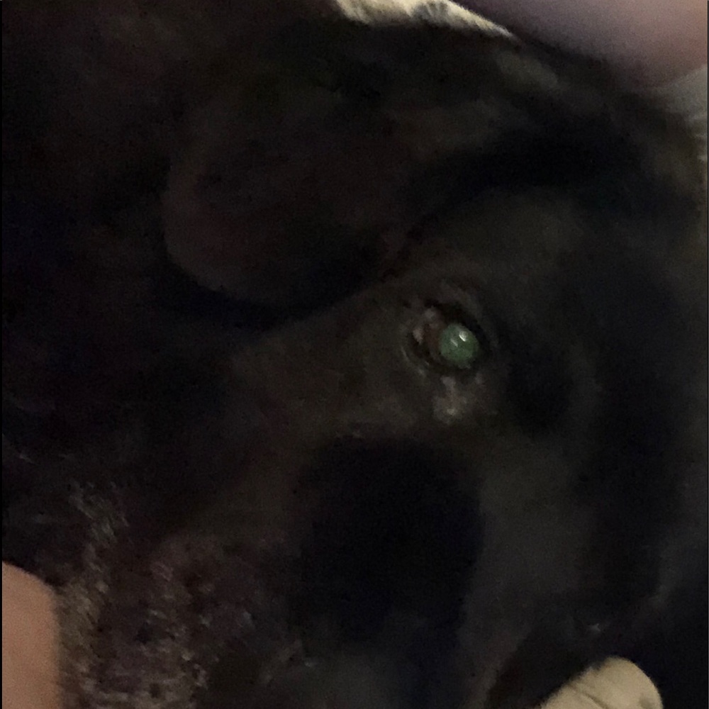 Meet your Posher, Alec